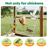 DS BD Chicken Bird Perch Roosting Bars Ladder Climbing Frame Farm Backyard Play