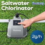 DS BD Bestway Pool Salt Water System Saltwater Chlorinator Hydrogenic Chlorine