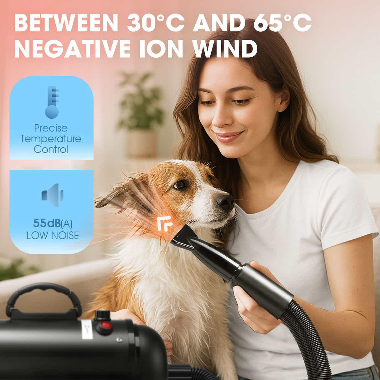 DS BD Dog Hair Dryer Vacuum Pet Cat Grooming Kit 4 Nozzles Hairdryer Blower Blow