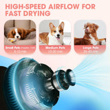 DS BD Dog Hair Dryer Vacuum Pet Cat Grooming Kit 4 Nozzles Hairdryer Blower Blow