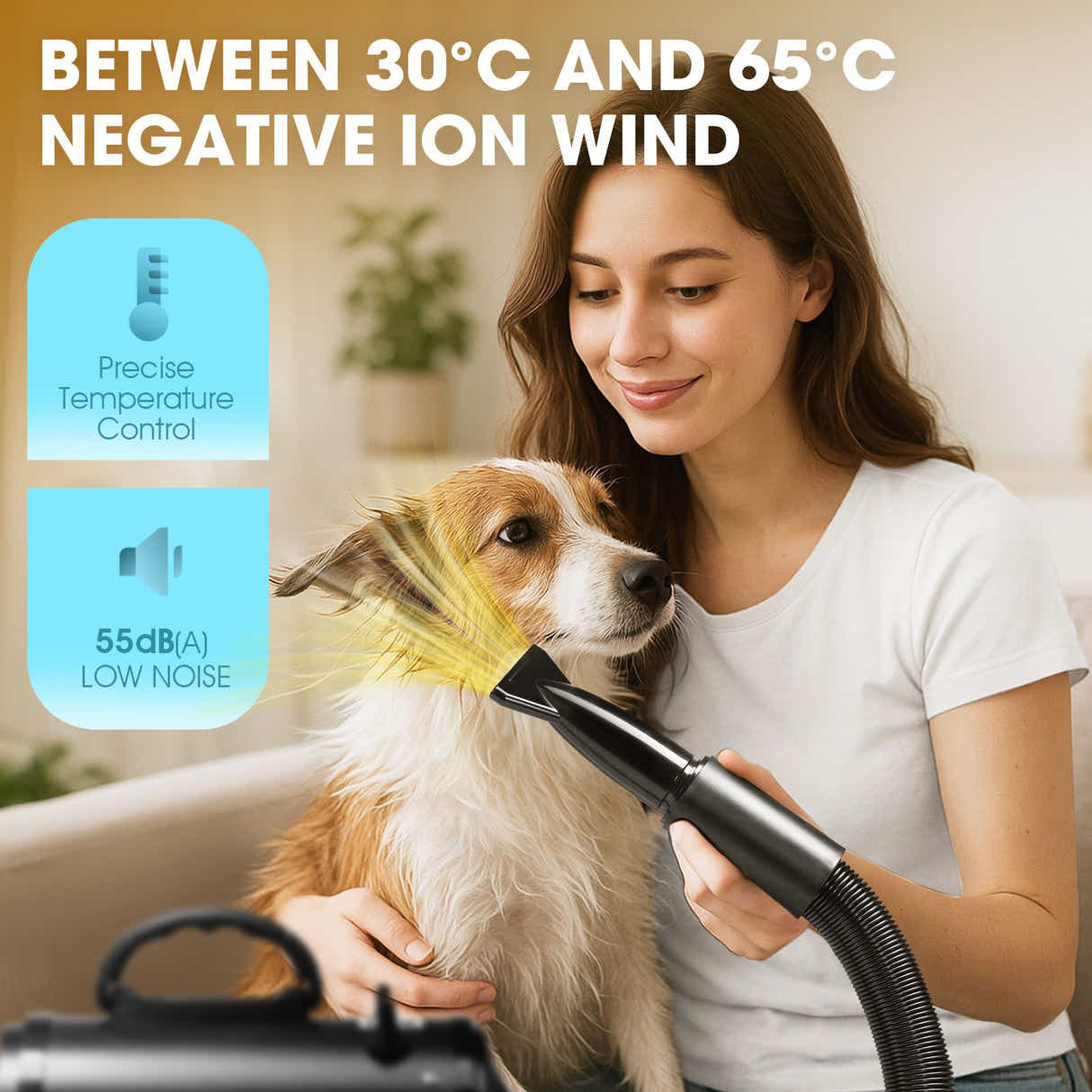 DS BD Dog Cat Hair Dryer Pet Grooming Kit Blow Hairdryer BlowerHeater Air Blaste