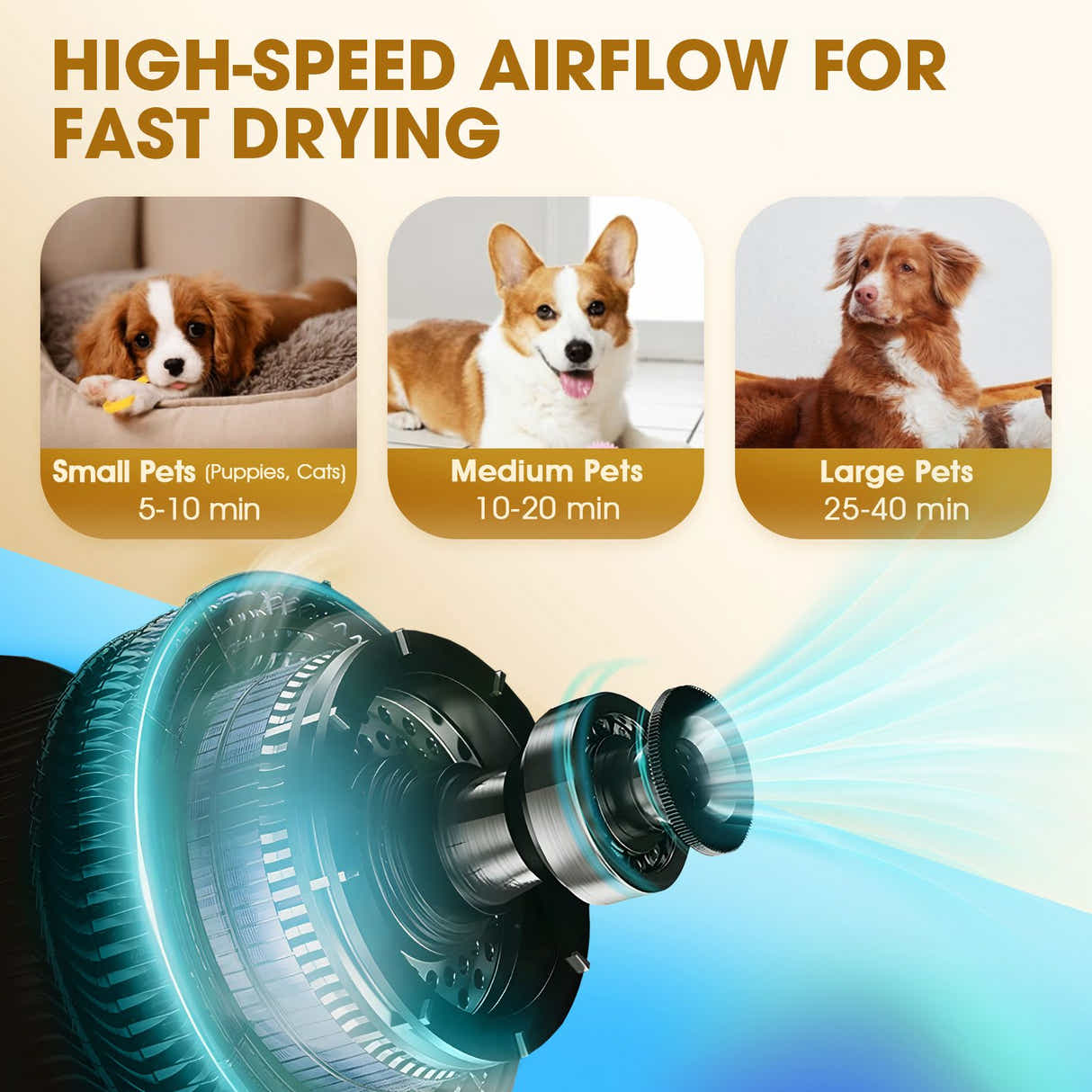 DS BD Dog Cat Hair Dryer Pet Grooming Kit Blow Hairdryer BlowerHeater Air Blaste
