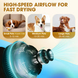 DS BD Dog Cat Hair Dryer Pet Grooming Kit Blow Hairdryer BlowerHeater Air Blaste