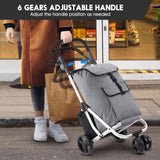 DS BD Shopping Cart Trolley Dolly Insulation Bag Aluminium Waterproof Wheeled