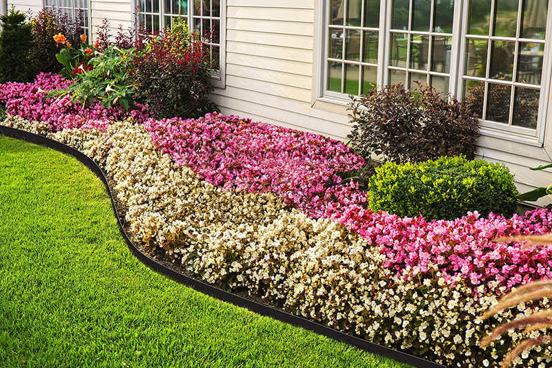 DS BS Garden Yard Lawn Landscape Edging Fence 5M