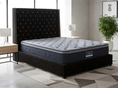 Aria Velvet Bed Frame Black & Euro Top Mattress B34 - Queen (Combo)