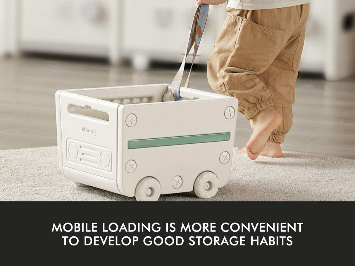 Storage Shelf