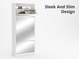 DS 4 Tier Mirror Shoe Organizer