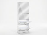 DS 5 Tier Mirror Shoe Organizer