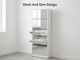 DS 5 Tier Mirror Shoe Organizer