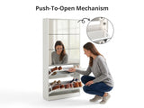 DS 5 Tier Mirror Shoe Organizer