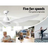 DS NA 64'' DC Motor Ceiling Fan With Light LED Remote Control Fans 3 Blades