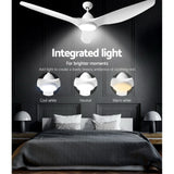 DS NA 64'' DC Motor Ceiling Fan With Light LED Remote Control Fans 3 Blades