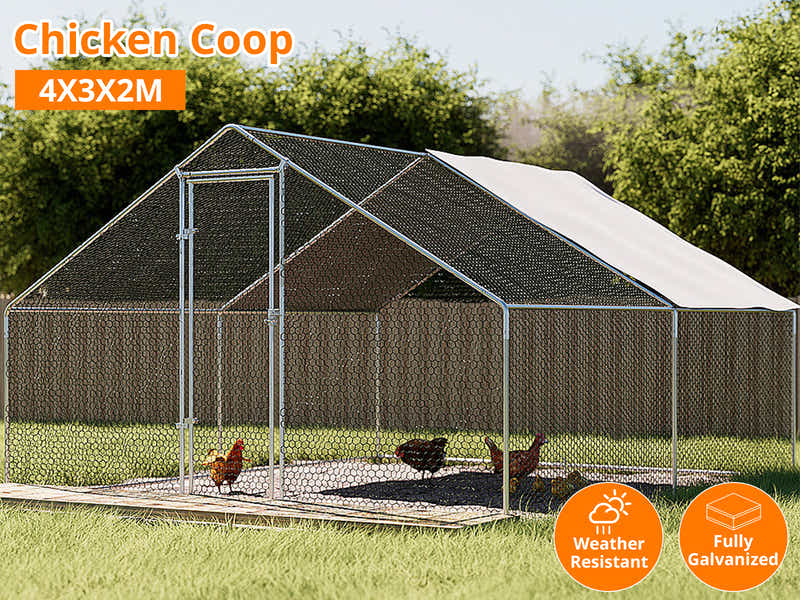 DS Chicken coop 25mm 3x4x2m