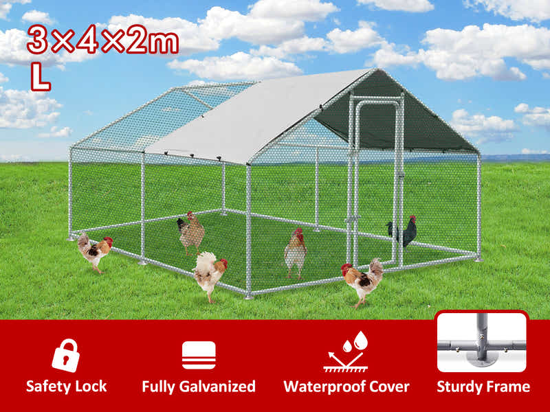 Steel Chicken Coop - 3m x 4m x 2m