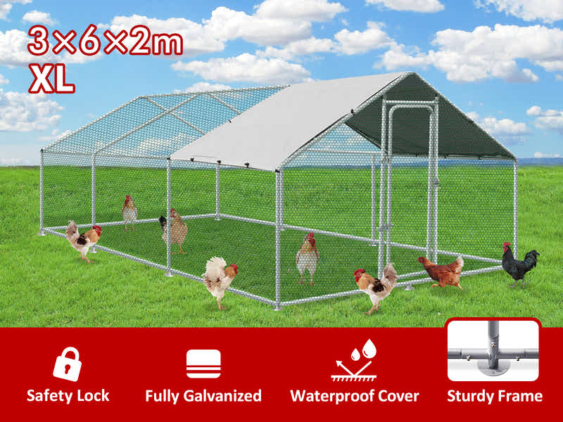 Steel Chicken Coop - 3m x 6m x 2m
