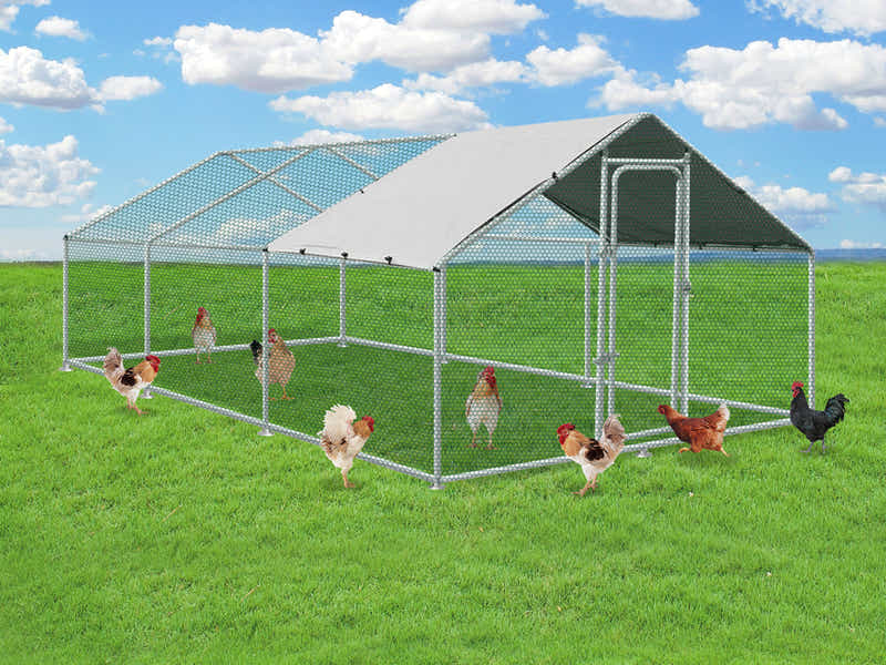 Steel Chicken Coop - 3m x 6m x 2m