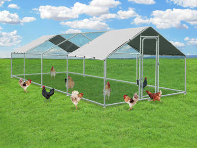 Steel Chicken Coop - 3m x 8m x 2m