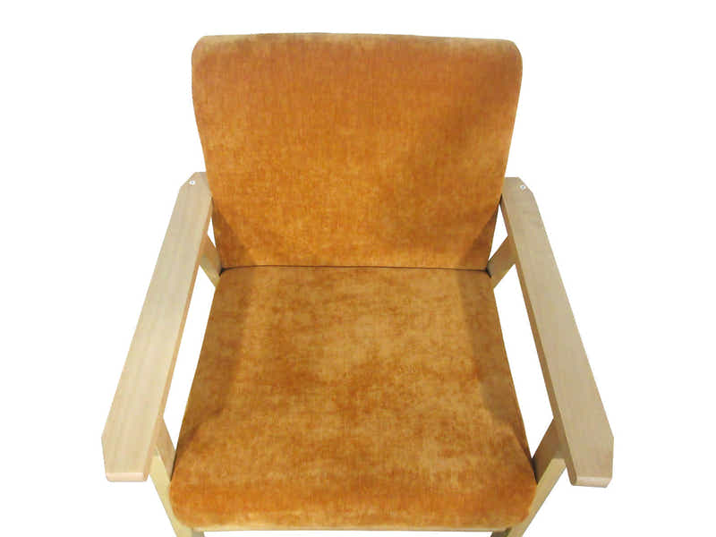Eleese Velvet Accent Chair - Orange