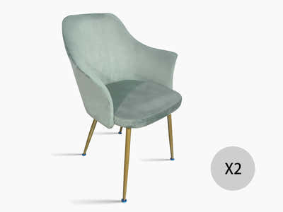 Ceilean Velvet Dining Chair Green - Set of 2