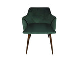 Zakeer Velvet Dining Chair Green - Set of 2