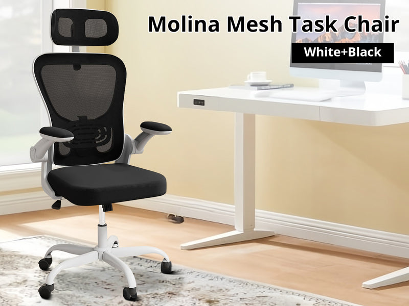 Molina Mesh Task Chair White+Black