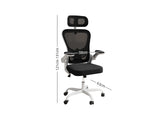 Molina Mesh Task Chair White+Black