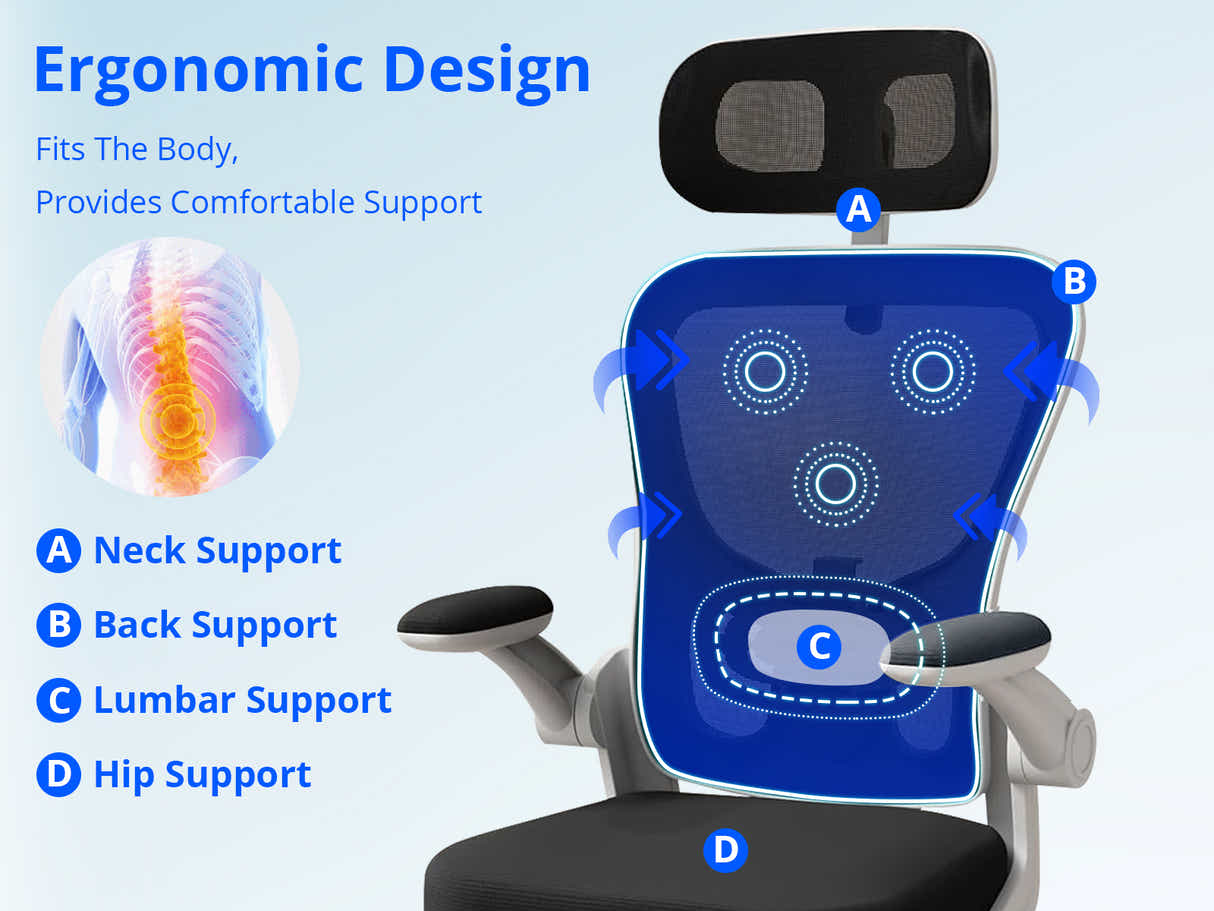 Home & Office Desk With Storage Drawer & Molina Mesh Task Chair White+Black