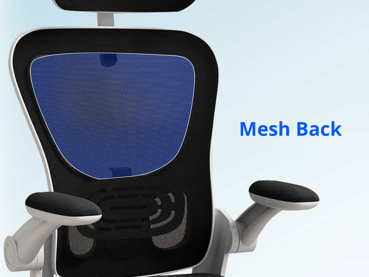 Home & Office Desk With Storage Drawer & Molina Mesh Task Chair White+Black