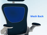Molina Mesh Task Chair White+Blue