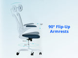 Molina Mesh Task Chair White+Blue