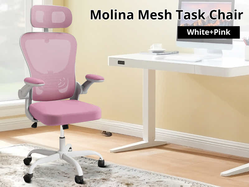 Molina Mesh Task Chair White+Pink