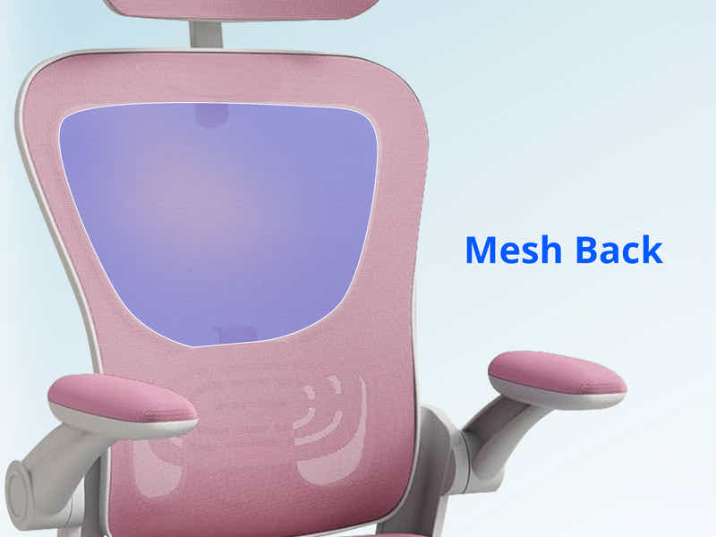 Molina Mesh Task Chair White+Pink