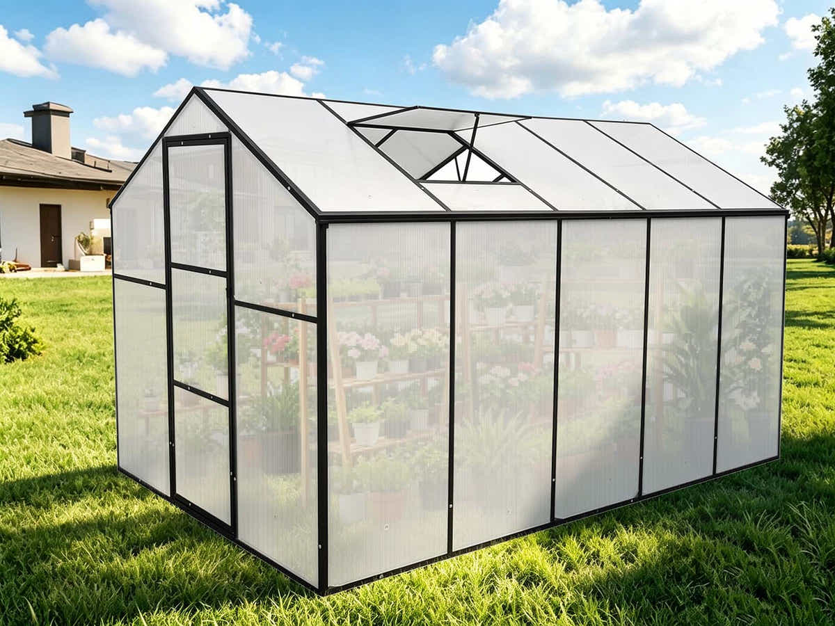DS New Green House 10'x6'ft