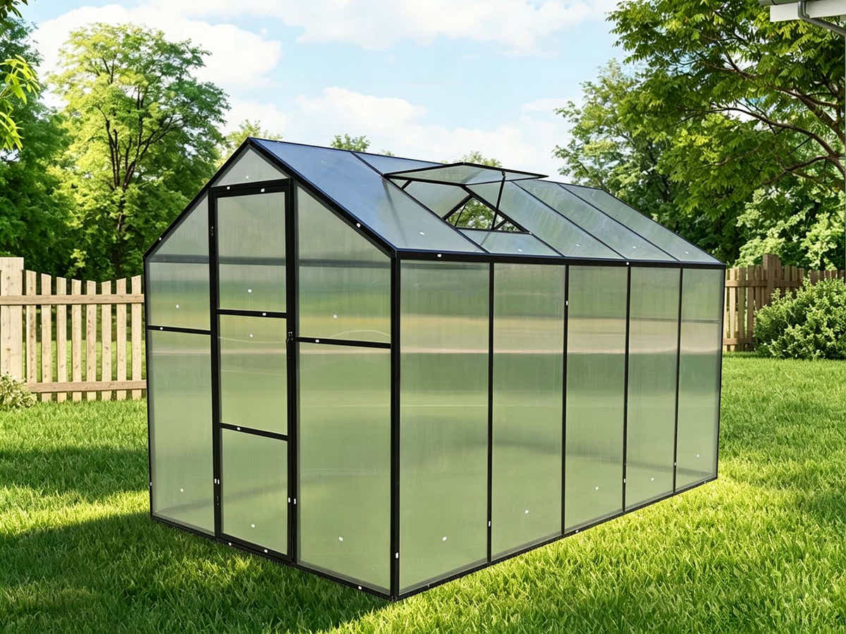 DS New Green House 10'x6'ft