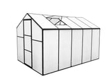 DS New Green House 10'x6'ft