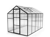 DS New Green House 10'x6'ft