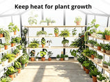 DS New Green House 10'x6'ft