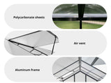 DS New Green House 10'x6'ft