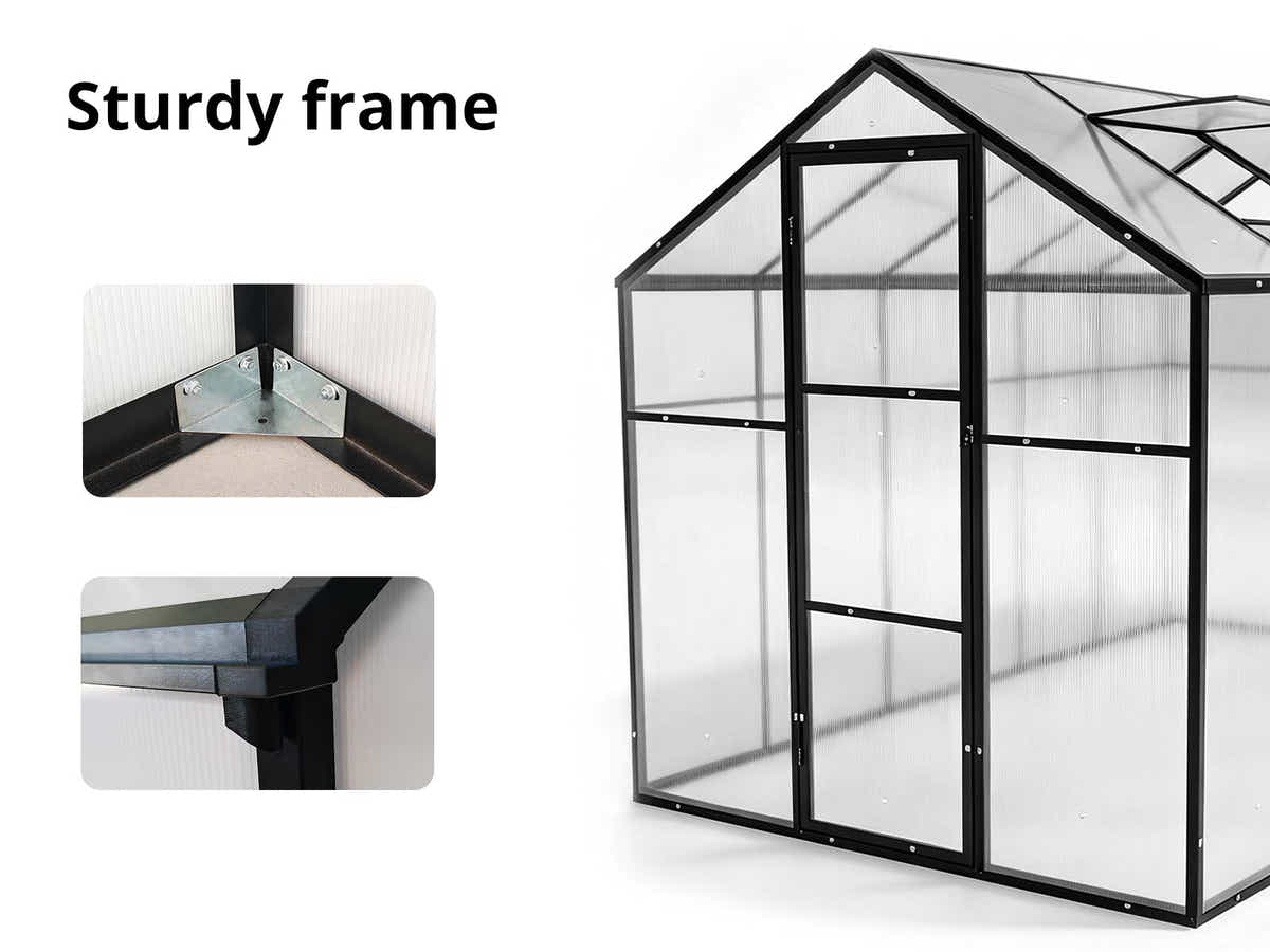 DS New Green House 10'x6'ft