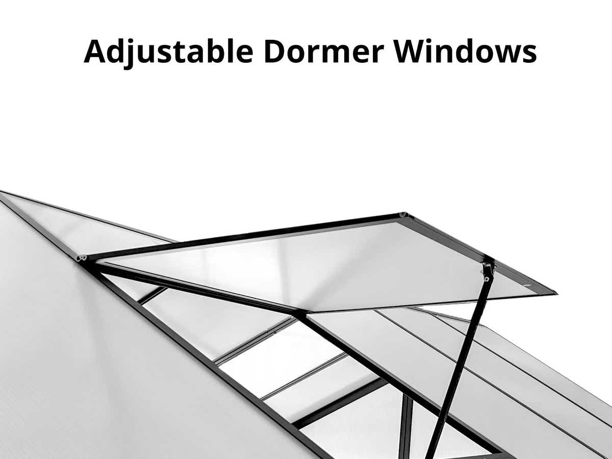 DS New Green House 10'x6'ft