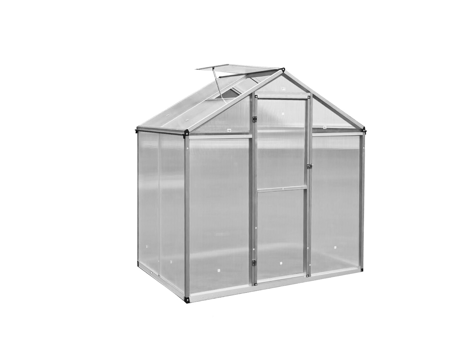 New Green House 4'x6'ft