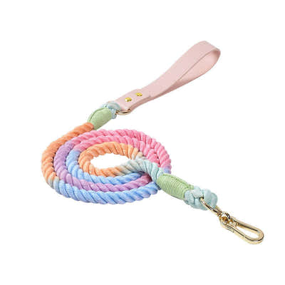 DS BS 150CM Soft Braided Colourful Dog Leash-Macaron