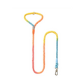DS BS 150CM Soft Braided Colourful Dog Leash-Rainbow