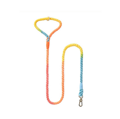 DS BS 150CM Soft Braided Colourful Dog Leash-Rainbow