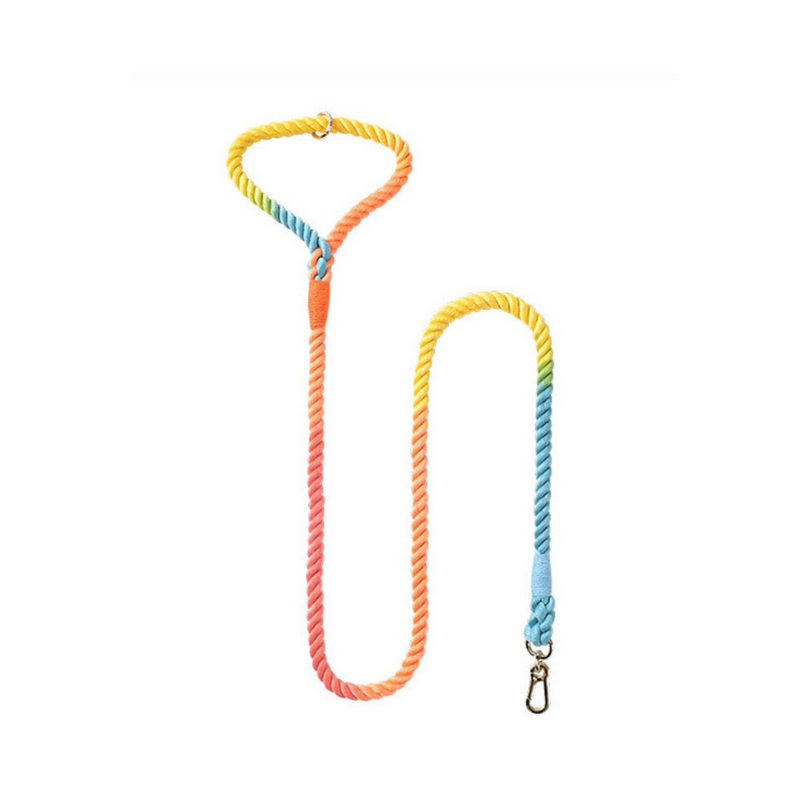 DS BS 120CM Soft Braided Colourful Dog Leash-Rainbow