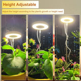 DS BS  Full Spectrum LED Plant Light