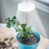 DS BS  Full Spectrum LED Plant Light