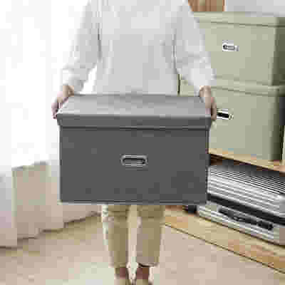 DS BS Collapsible Storage Bins with Lids and Handles-L