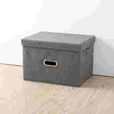 DS BS Collapsible Storage Bins with Lids and Handles-L
